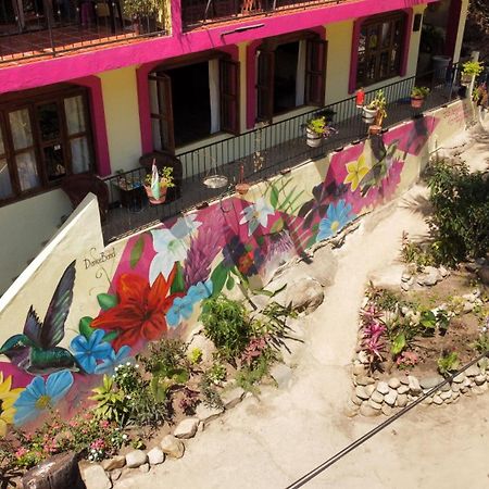 La Posada Pacifica Puerto Vallarta Zewnętrze zdjęcie